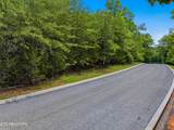 Lot 110 Eagles Ridge - Photo 5