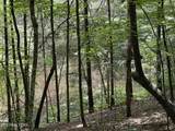 6948 Tazewell Hwy - Photo 46