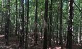 0 Hickory Nut Tr - Photo 5