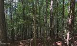 0 Hickory Nut Tr - Photo 6