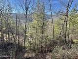 1306 Morning Dove Way - Photo 4