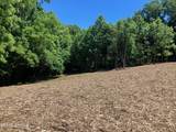 Tract 2 Graves Hollow Rd - Photo 10