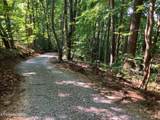 Tract 2 Graves Hollow Rd - Photo 13