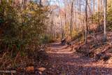 4903 Long Rifle Rd - Photo 12