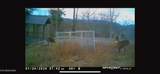 4903 Long Rifle Rd - Photo 26