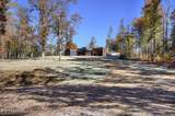 4903 Long Rifle Rd - Photo 4
