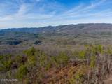 4903 Long Rifle Rd - Photo 8