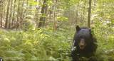 909 The Loop Rd - Photo 29