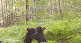 909 The Loop Rd - Photo 31
