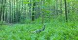 909 The Loop Rd - Photo 32