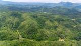  Johns Creek Rd - Photo 15