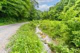  Johns Creek Rd - Photo 7