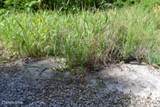 9ac Circle Road Rd - Photo 10