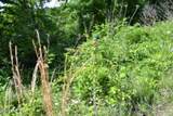 9ac Circle Road Rd - Photo 2