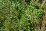 9ac Circle Road Rd - Photo 3