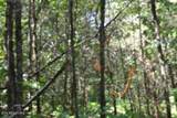 9ac Circle Road Rd - Photo 30