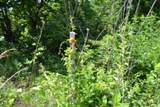 9ac Circle Road Rd - Photo 8