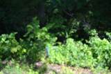 2.75ac Beauchamp Rd - Photo 2