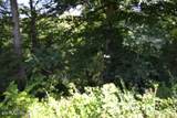 2.75ac Beauchamp Rd - Photo 6