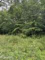 3119 Crow Drive - Photo 2