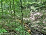  Fir Drive - Photo 10