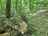  Fir Drive - Photo 15