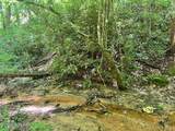  Fir Drive - Photo 18