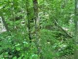  Fir Drive - Photo 2