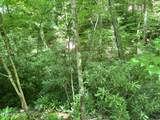  Fir Drive - Photo 4