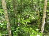  Fir Drive - Photo 6