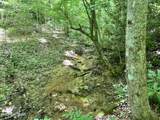 Fir Drive - Photo 9