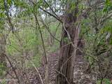 3010 Masters Lane - Photo 7
