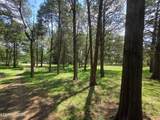 8050 Lett Rd - Photo 3