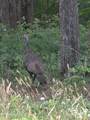 8050 Lett Rd - Photo 6