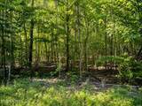 Lot 5 Keylon Hollow Road - Photo 1