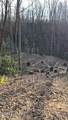 229 Sonshine Ridge Rd - Photo 21