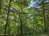  Log Mountain Rd - Photo 2