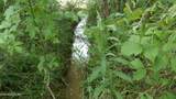 5.6 ac Lonnie Reecer Rd - Photo 41