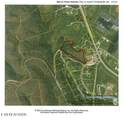 5.6 ac Lonnie Reecer Rd - Photo 46