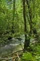 1460 Big Neck Rd - Photo 16