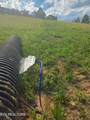 1460 Big Neck Rd - Photo 25