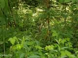 TBD Snake Hollow Rd - Photo 4