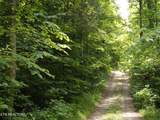 TBD Snake Hollow Rd - Photo 5