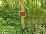 TBD Snake Hollow Rd - Photo 7