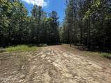 34 acres State Highway 304 - Photo 11