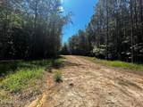 34 acres State Highway 304 - Photo 14