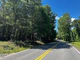 34 acres State Highway 304 - Photo 16