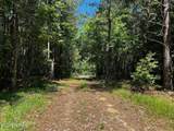 34 acres State Highway 304 - Photo 27