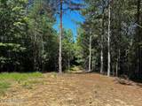 34 acres State Highway 304 - Photo 30