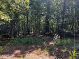 34 acres State Highway 304 - Photo 31